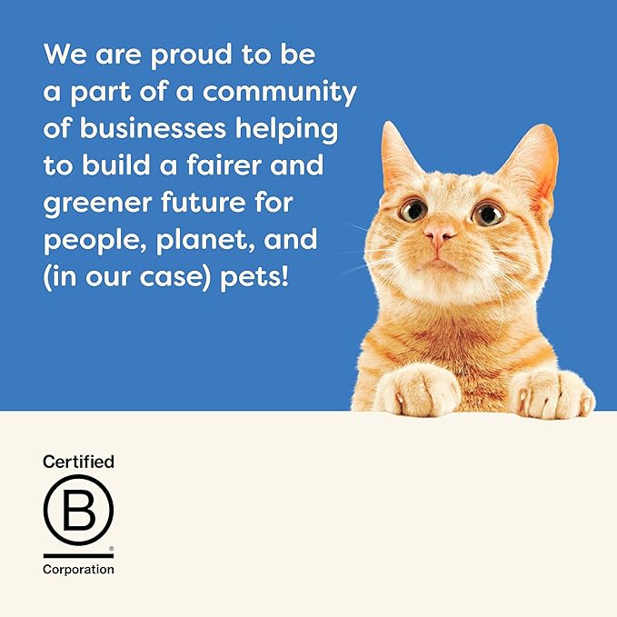 Applaws Natural Wet Cat Food in Gravy, Limited Ingredient Canned Wet Cat Food, No Additives, Made with Natural Ingredients, Tuna Fillet & Shrimp in Gravy (24 x 2.47oz Cans)-PawvioPets