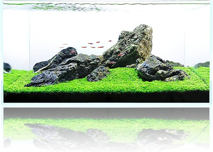 Fzone 48 Gal Rimless Low Iron Fish Tank Nova Clear Ultra-White 45° Mitered Edges Translucent Glass Anata Series Aquarium w/Black Foam Leveling Mat(S90-W45)-PawvioPets