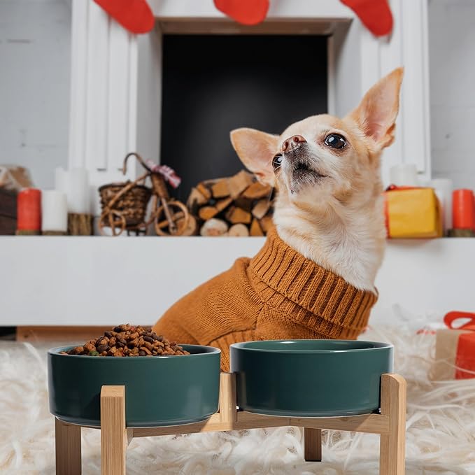 Elevated Ceramic Dog Bowl Set - Raised Feeding Bowls with Non-Slip Bamboo Stand - Small Pet Dishes for Food and Water - Ideal for Cats and Puppies - 16.23 OZ - 2 Cups - 480 ML-PawvioPets