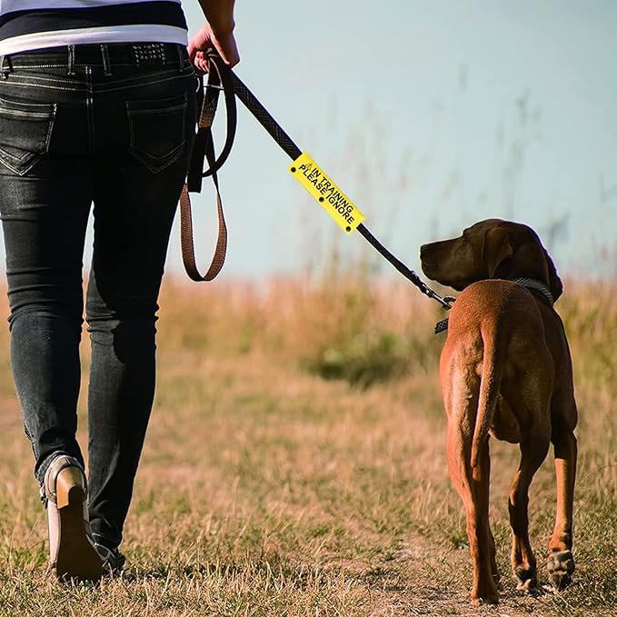 Funny Dog Leash Sleeve in Training Please Ignore Dog Leash Wrap Sleeve Alert Tag Pet Birthday Gift (Training Please Ignore-YE Sleeve)-PawvioPets