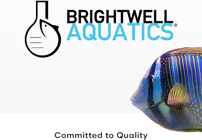 Brightwell Aquatics Rēplenish – Premium Trace & Minor Element Supplement for Marine Aquariums, Supports Healthy Fish, Corals, and Invertebrates, 125 ml-PawvioPets
