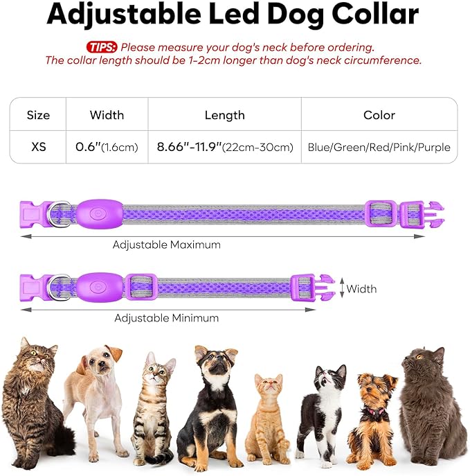 Flashseen LED Cat Collar,Light Up Dog Collar Rechargeable, Dog Lights for Night Walking, Comfortable Soft Mesh Pet Collar Adjustable for Cats Puppy and Small Dogs (Purple, XS)-PawvioPets