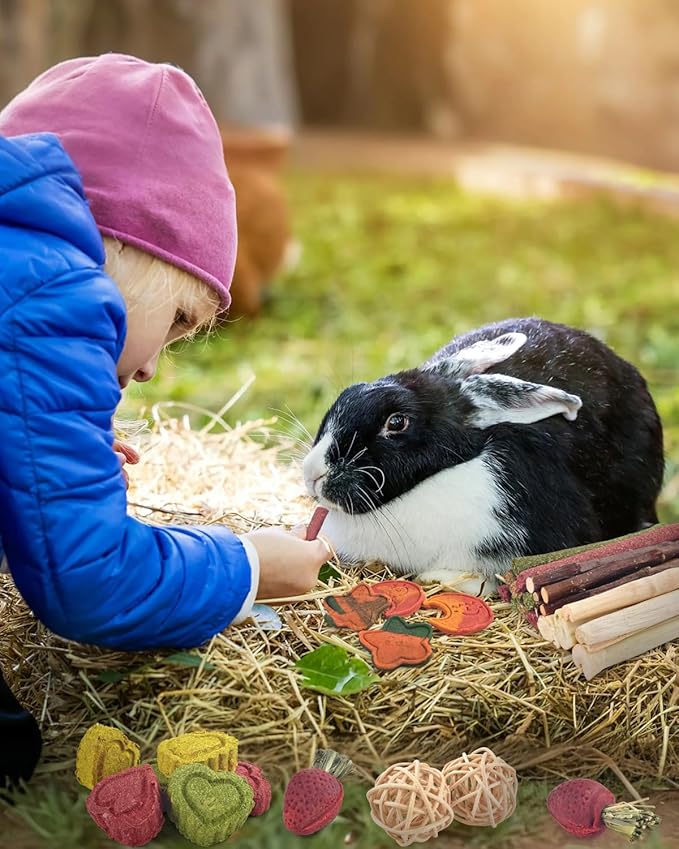 ERKOON 33PCS Bunny Chew Toys for Rabbits Teeth, Natural Rabbit Toys Apple Wood Sticks, Carrot, Timothy Grass Toys for Small Pets, Hamster, Chinchilla, Guinea Pig Dental Care and Treat Teething Toys-PawvioPets