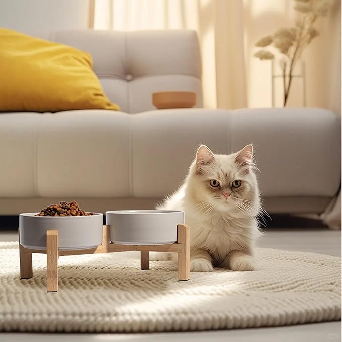 Elevated Ceramic Dog Bowl Set - Raised Feeding Bowls with Non-Slip Bamboo Stand - Small Pet Dishes for Food and Water - Ideal for Cats and Puppies - 16.23 OZ - 2 Cups - 480 ML-PawvioPets