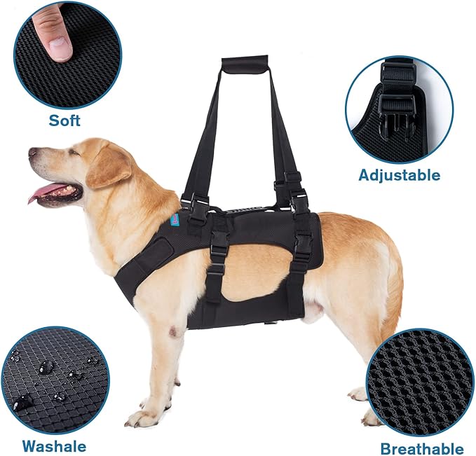 Dog Lift Harness, Rehabilitation Lifts Vest for Dogs, Support & Recovery Sling, Adjustable Breathable Lifting Straps for Old, Joint Injuries, Arthritis, Paralysis Dogs Walk (S, Black)-PawvioPets