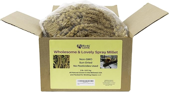 Birds LOVE Wholesome & Lovely Spray Millet Non-GMO for Birds Cockatiel Lovebird Parakeet Finch Canary All Parrots Healthy Treat - 2LBS-PawvioPets