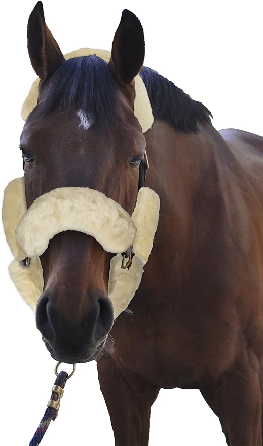 ECP Equine Comfort Products Merino Sheepskin Halter Fleece Set for Horses, 100% Natural Wool, Chafe Protection, Breathable Relief & Cushioned Comfort, Machine Washable, 9-Piece Set, Cream-PawvioPets