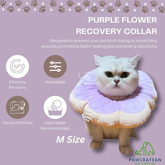 Adjustable Comfy Flower Style Elizabeth Collar for Cats Puppies Soft Recovery Cone Pet Protective Neck Collar (Purple, Medium)-PawvioPets