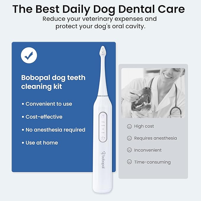 Dog Tooth Brushing Kit,3-in-1 Dog Teeth Cleaning Tools,Ultrasonic Electric Toothbrush & Plaque Remover for Dogs with Water Flosser for Teeth,2 Modes & 3 Intensity Levels,IPX7,1100mAh Battery-PawvioPets
