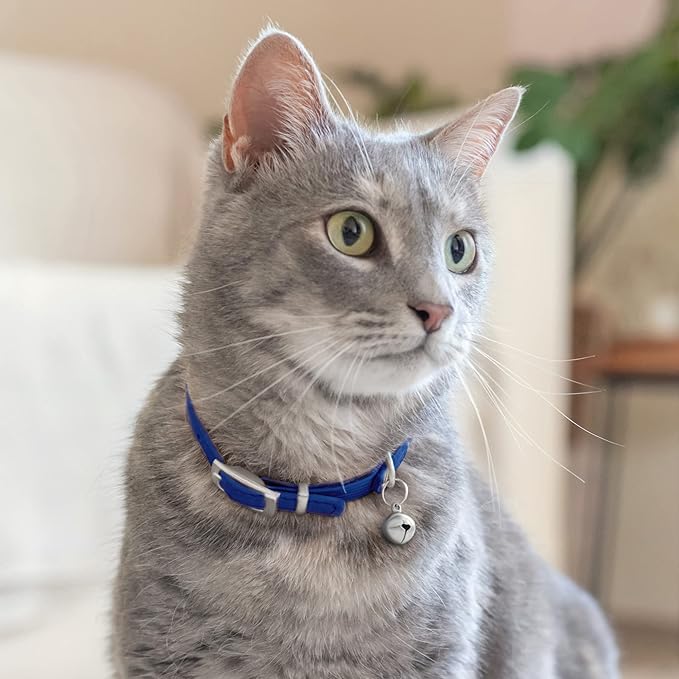CollarDirect Leather Cat Collar with Bell - Kitten Collar, Small and Big Cat Collar for Boy Cats, Girl Cats with Safety Elastic Strap (Neck Fit 6"-7", Navy Blue)-PawvioPets