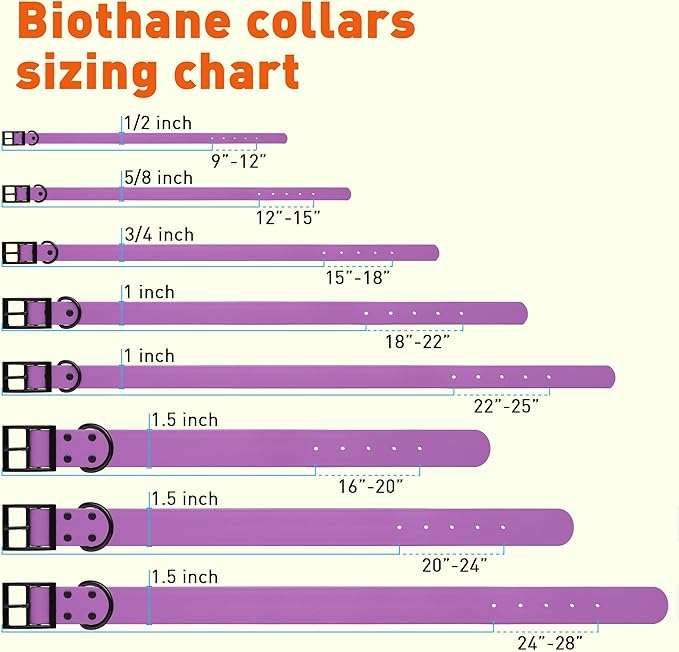 Dogline Biothane Waterproof Dog Collar Strong Coated Nylon Webbing with Black Hardware Odor- Proof for Easy Care Easy to Clean High Performance Fits Small Medium or Large Dogs, Amethyst Purple-PawvioPets