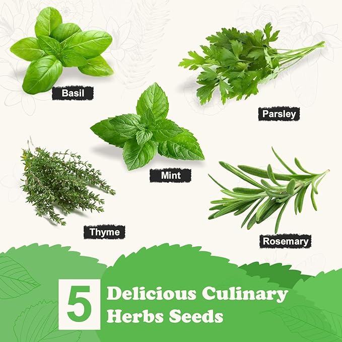 5 Herb Seeds Garden Starter Kit with Complete Planting Kit & Wooden Flower Box, Growing into Basil, Parsley, Rosemary, Thyme, Mint for Kitchen Windowsill Herb Garden DIY-PawvioPets