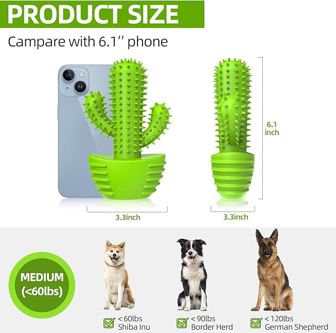 Dog Chew Toys, Toothbrush Stick Teeth Cleaning Brush Dental for Small Medium Large Dog, Rubber Squeaky Toys for Aggressive Chewers Cactus Tough Toys-PawvioPets