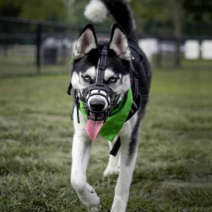 BARKLESS Dog Muzzle, Soft Basket Silicone Muzzle for Dogs to Prevent Biting and Chewing, Breathable Cage Mouth Cover for Training, Allows Drinking and Panting, Used with Collar-PawvioPets