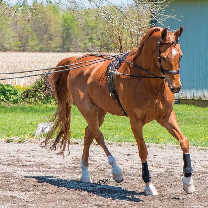 Dura-Tech MCR Long Lines 30'-PawvioPets