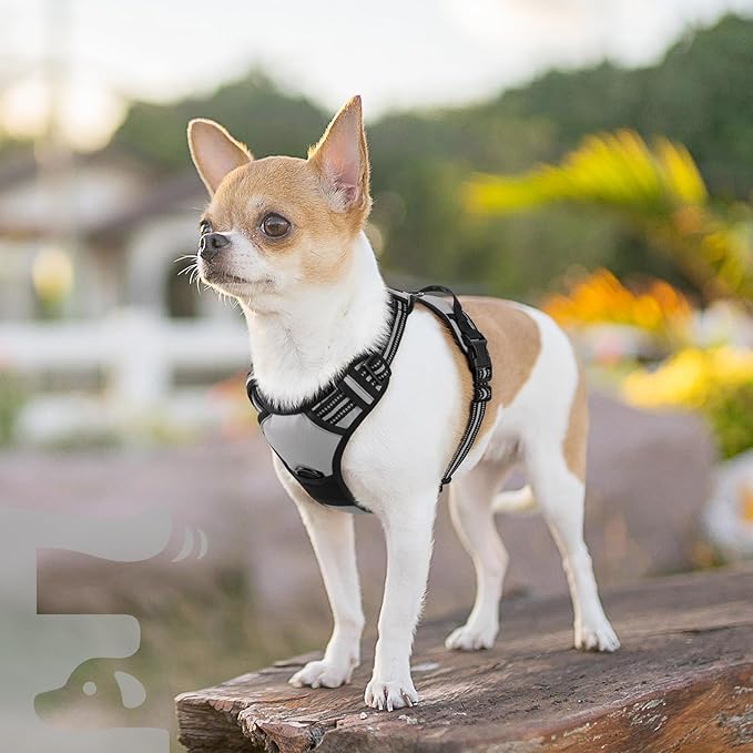 Eagloo Small Dog Harness No Pull, Service Vest with Reflective Strips and Control Handle, Adjustable and Comfortable for Walking, No Choke Pet Harness with 2 Metal Rings, Grey, XS-PawvioPets