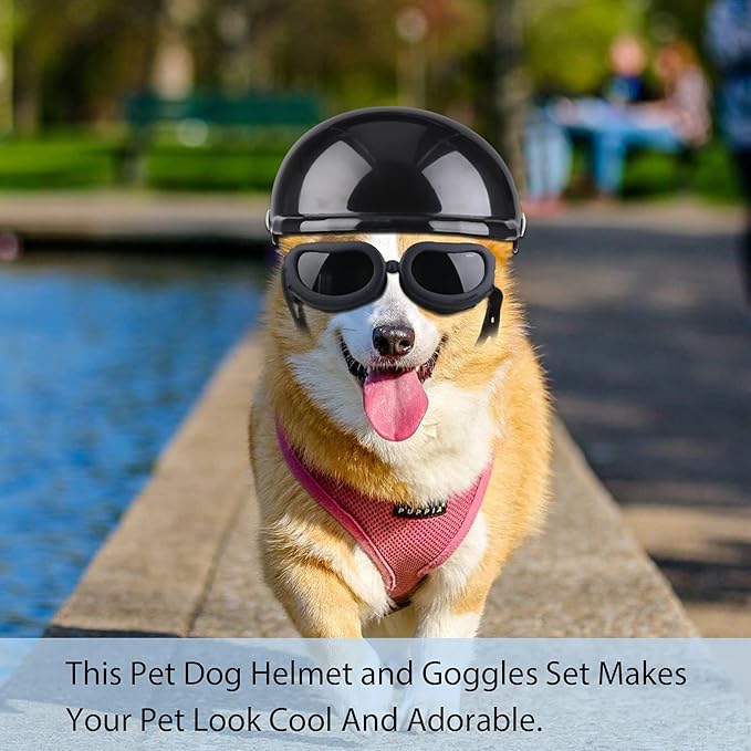 Frienda Dog Helmet and Goggles, UV Protection Doggy Sunglasses and 4 Inch Padded Puppy Motorcycle Helmet Adorable Dog Goggles with Adjustable Belt for Small Dogs Puppy Riding(Black,S)-PawvioPets