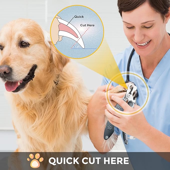 Best Dog Nail Trimmers for Anxiety Sensitive Dogs, Quiet Sharpest Smoothest Nail Clippers for Large Dog Medium Small, Professional Stainless Steel with Nail File & Comb, Left-Handed Friendly-PawvioPets