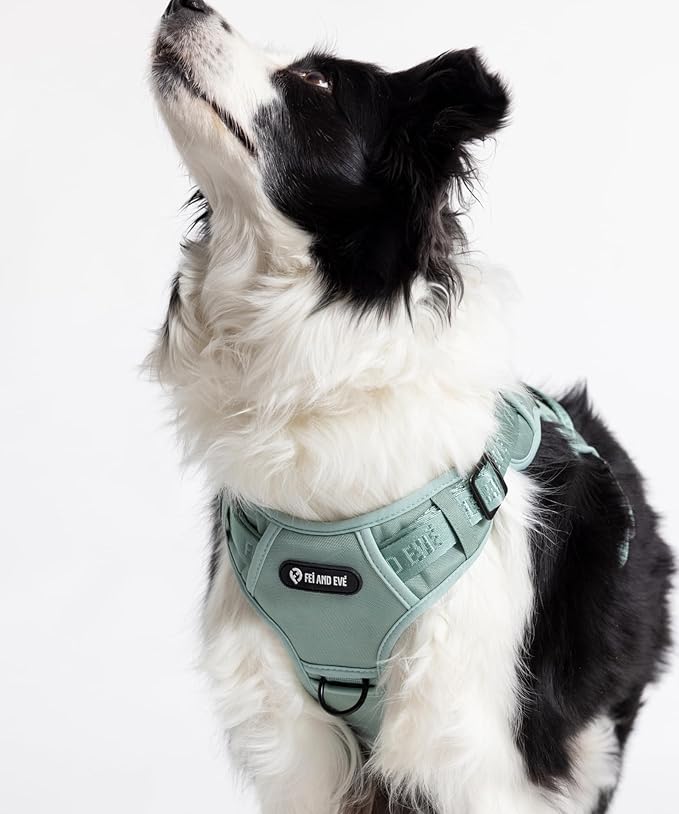 2025 New Edition, Fei & Eve MagEase Dog Harness - 3-Second Magnetic Buckles | 3-Point No-Pull Control | Heavy-Duty 900D Nylon | Dual Safety Handles | Breathable Mesh | Adjustable Fit | Medium, Green-PawvioPets