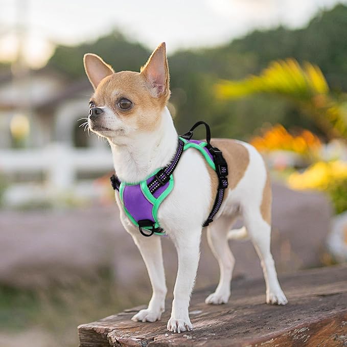 Eagloo Small Dog Harness No Pull, Service Vest with Reflective Strips and Control Handle, Adjustable and Comfortable for Walking, No Choke Pet Harness with 2 Metal Rings, Purple & Green, XS-PawvioPets