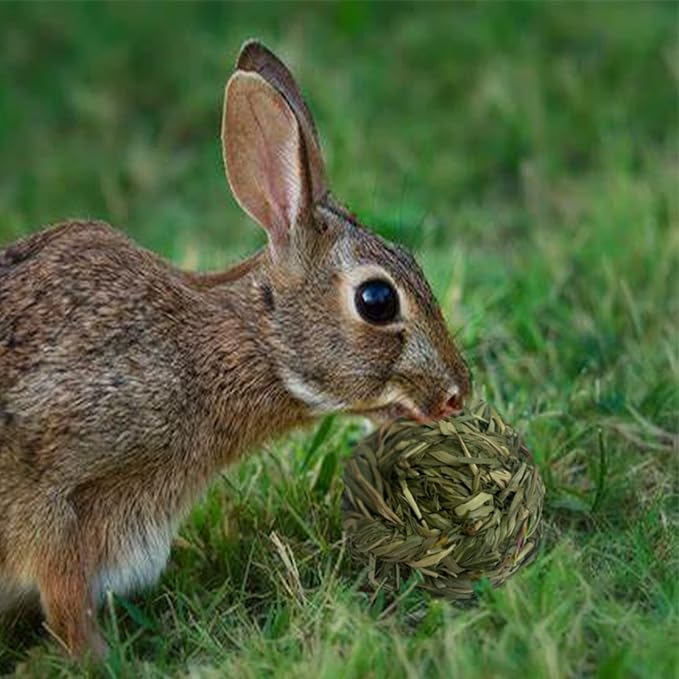 6 Pcs Bunny Timothy Grass Ball Natural Chew Toy Woven Chewing Toys Rabbit Molar Small Animals Teeth Grinding Suitable for Hamster Totoro Gerbils Guinea Pig Squirrel-PawvioPets