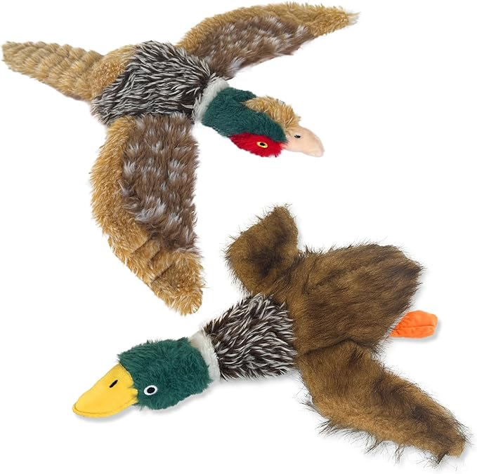 2 PCS Mallard Duck Dog Toys Squeaky D og Toy ,Stuffed Pheasant Do g Chew Toys Plush Mallard Duck Do g To y Interactive Do g Toys to Keep Them Busy , Pheasant Dog To y for Small Middle and Large Dogs-PawvioPets