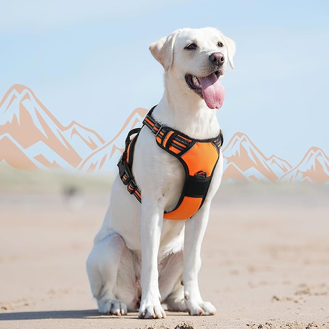 Eagloo Dog Harness for Large Dogs, No Pull Service Vest with Reflective Strips and Control Handle, Adjustable and Comfortable for Walking, No Choke Pet Harness with 2 Metal Rings, Orange, L-PawvioPets