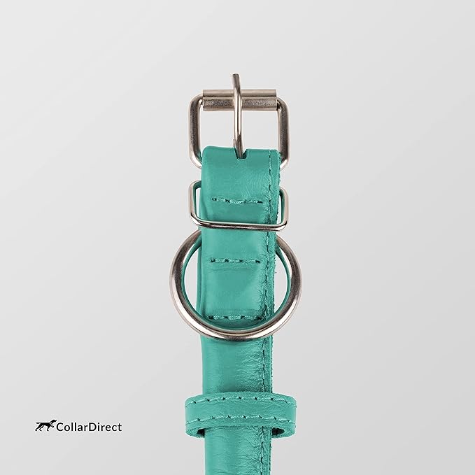 CollarDirect Rolled Leather Dog Collar, Soft Padded Round Puppy Collar, Handmade Genuine Leather Collar Dog Small Large Cat Collars 13 Colors (15-19 Inch, Mint Green Textured)-PawvioPets