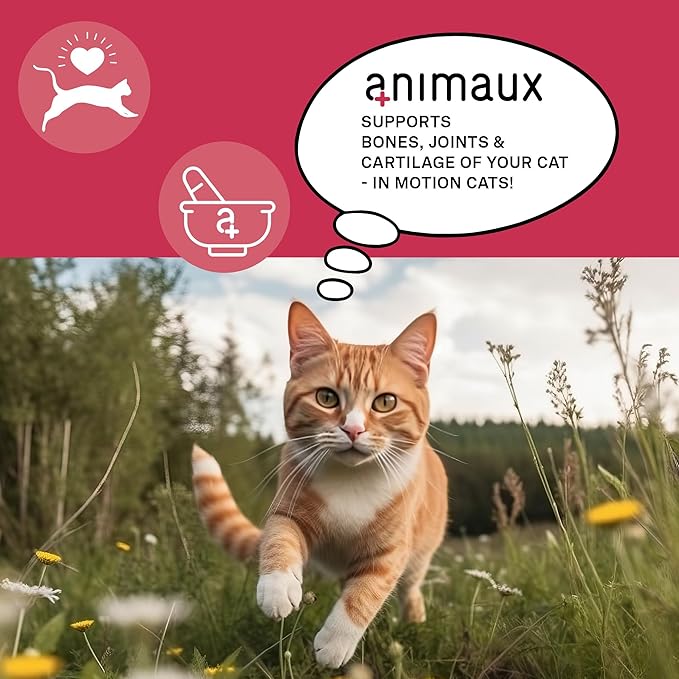 animaux - in Motion Cats, Green-lipped Mussel, Devil's Claw, Rose Hip & Ginkgo, Support for Bones, Joints, Cartilage, tendons, with Hyaluron, Collagen, 90 chewable Tablets, 90 Days Supply-PawvioPets