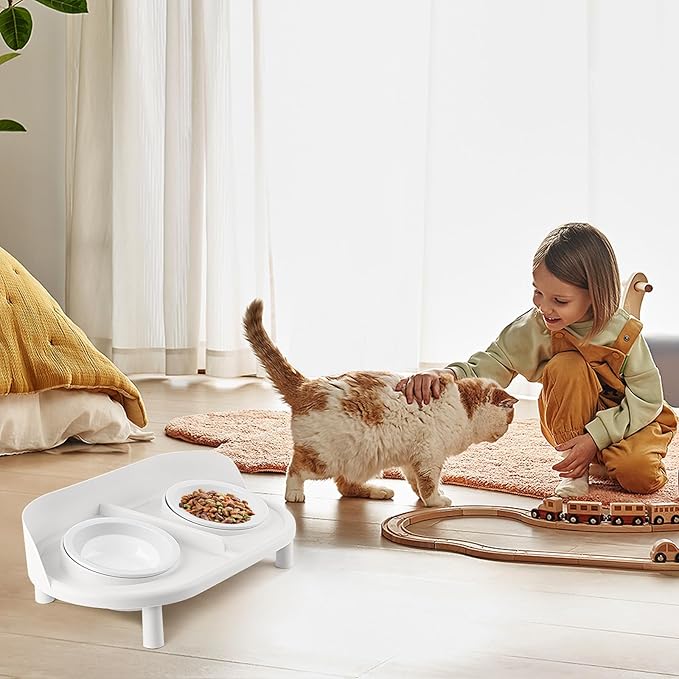 Elevated Cat Bowls, Tilted Rised Cat Food and Water Bowl with 2 Pcs Ceramic Pet Bowls, Rised Stand, Pet Dish Anti Vomiting Feeding Station for All Sized Cats & Small Dogs (White)-PawvioPets