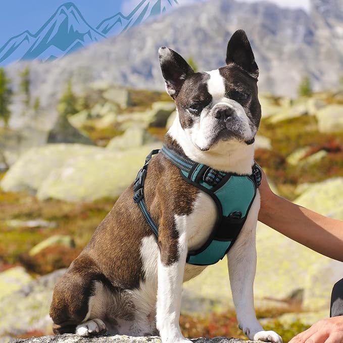 Eagloo Dog Harness Medium Sized Dog, No Pull Service Vest with Reflective Strips and Control Handle, Adjustable and Comfortable for Easy Walking, No Choke Pet Harness with 2 Metal Rings, Dark Green, M-PawvioPets