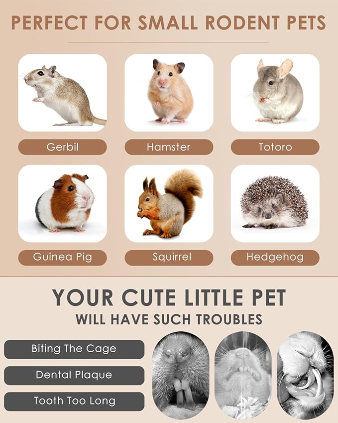 Bissap 25 PCS Guinea Pigs Chew Sticks, Natural Papaya Stems Bunny Chews Treats for Hamsters Chinchillas Small Animals Organic Molar Chewing Snack-PawvioPets