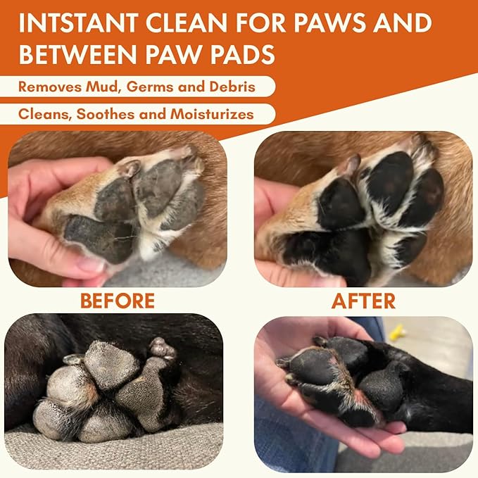 Dog Paw Cleaner | Gentle & PH-Balanced | Dog Paw Wash for All Breeds | Nourishing Formula with Aloe Vera | Portable & Easy-to-Use | Paw Cleaning Foam with Silicone Brush - 5.1 Fl Oz-PawvioPets