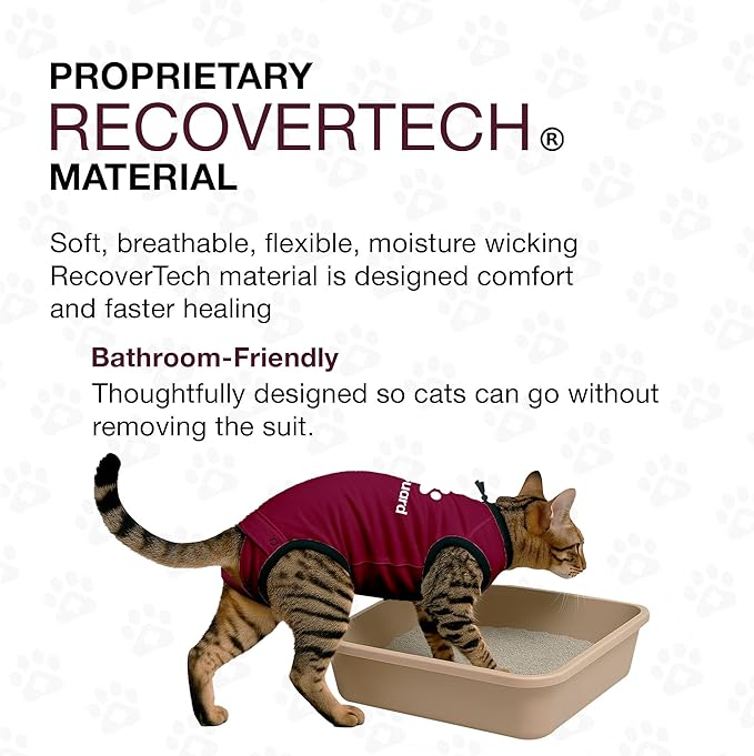 Bellyguard Cat Recovery Suit Female and Male, Comfy Onesie After Surgery, Kitten Clothes for Post-Op Care, Neuter and Spay Healing Outfits for Cats Only – Comfortable Kitten and Adult Cone Alternative-PawvioPets