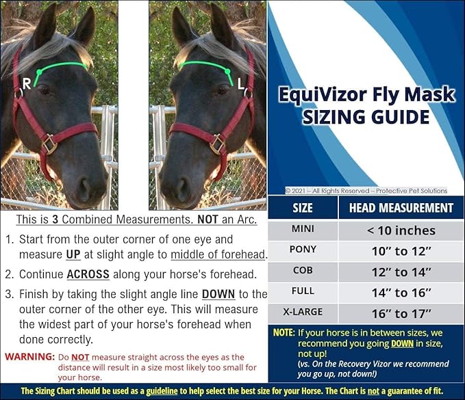 EquiVizor 95% UV Eye Protection (COB) Standard Horse Fly Mask - Help with Uveitis, Corneal Ulcer, Light Sensitivity. Designed to Stay On Your Horse, Off The Ground.-PawvioPets