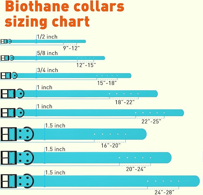 Dogline Biothane Waterproof Dog Collar Strong Coated Nylon Webbing with Black Hardware Odor- Proof for Easy Care Easy to Clean High Performance Fits Small Medium or Large Dogs, Sky Blue-PawvioPets