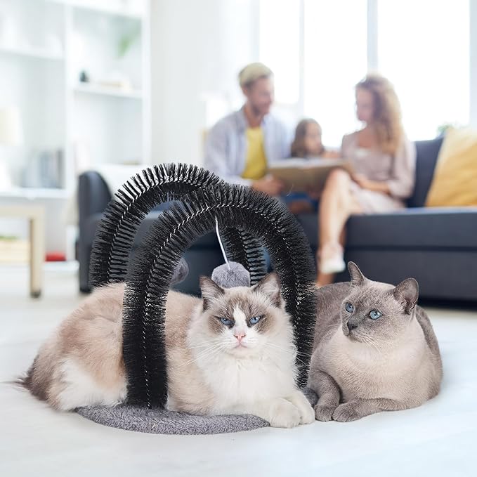 Cat Arch Self Groomer Massager, Kitty Grooming Brush with 2 Brushes and Heavy Plush Base, Cat Face and Back Scratchers, Scratching Post for Indoor and Outdoor Cats with 2 Plush Balls-PawvioPets