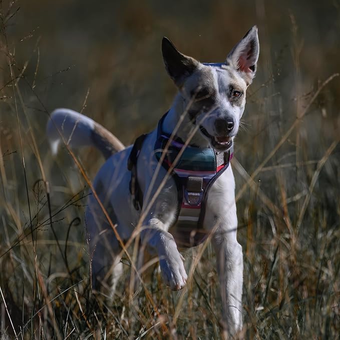 Embark Adventure Dog Harness, Reflective Trim No Pull Harness for Medium Sized Dog - Military Grade Nylon, Front Clip with Gel Lined Handle. Soft & Padded Puppy-PawvioPets