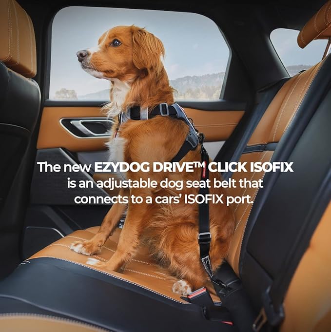 EzyDog Click ISOFIX Standard - Dog Seat Belt Car Harness Attachment for Dogs - Adjustable Dog Restraints Seatbelts for Car Travel and Safety - (17in - 26in, Black)-PawvioPets