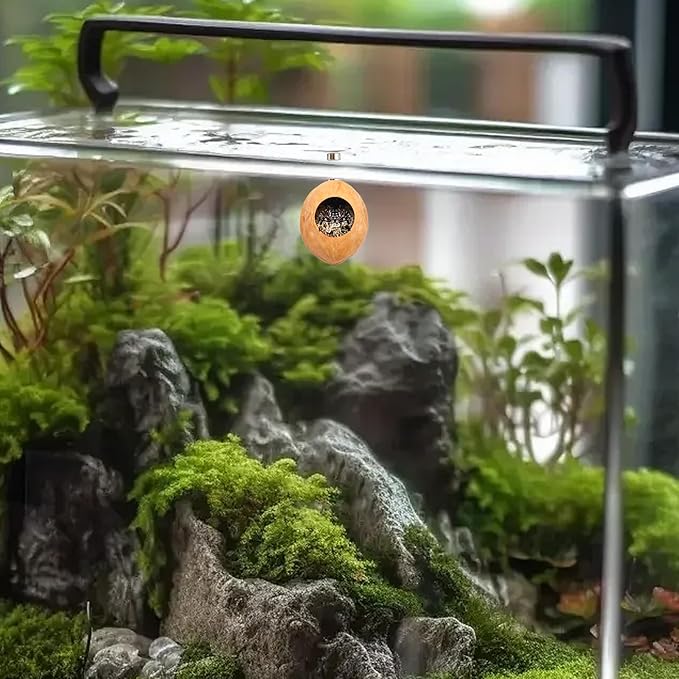 2 Pack Jumping Spider Enclosure Accessories with Walnut Shell Moss and Magnet, Natural Material Jumping Spider Hide-PawvioPets