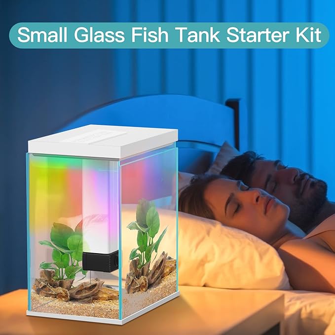 2 Gallon Glass Betta Fish Tank with Heater Filter and Light, Self-Cleaning Small Fish Tank Starter Kits.-PawvioPets