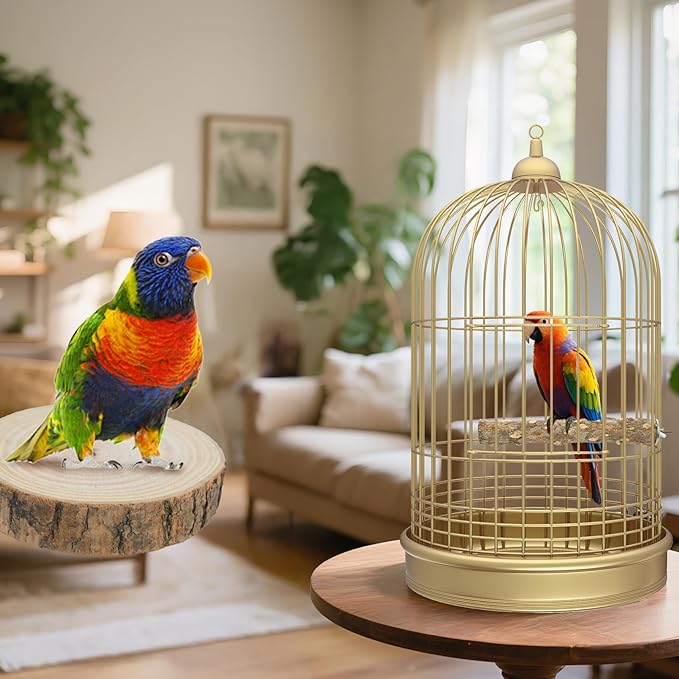 Bird Perch Stand, Pole Standing Natural Wood Bird Perch Set 7PCS Paw Grinding Fork Parrot Cage Branch with Rope Cage Accessories Toys for Parakeets, Cockatiels, Conure, Budgies-PawvioPets