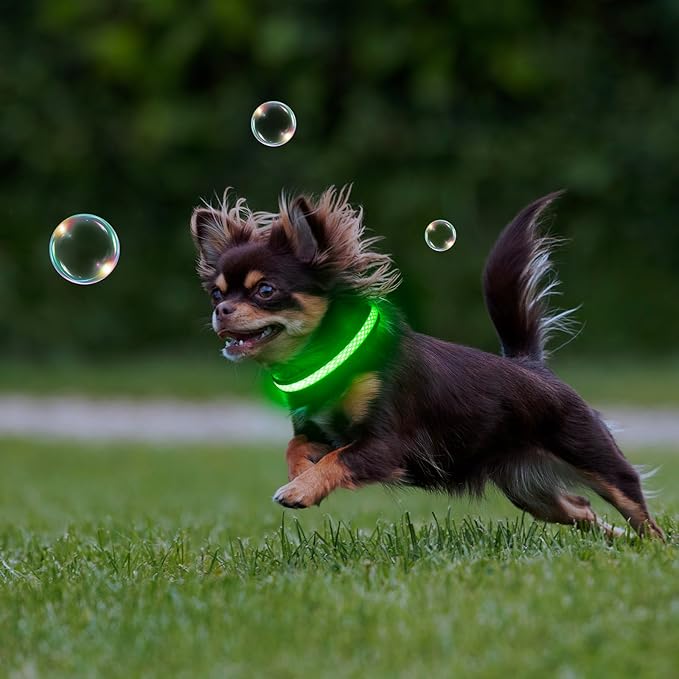 Flashseen LED Cat Collar,Light Up Dog Collar Rechargeable, Dog Lights for Night Walking, Comfortable Soft Mesh Pet Collar Adjustable for Cats Puppy and Small Dogs(Neon Green, XS)-PawvioPets