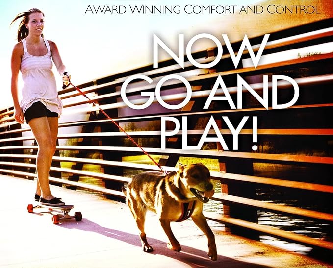 EzyDog CLICK – Dog Seat Belt for Car, Dog Harness Adjustable Seatbelt Attachment – Heavy Duty Nylon Seat Belt Webbing (17.5in - 26in)-PawvioPets