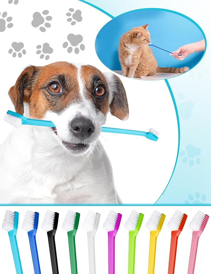 30 Pcs Pet Toothbrush Kit - Dual-Headed Toothbrush for Dogs & Cats - 10 Colors-PawvioPets