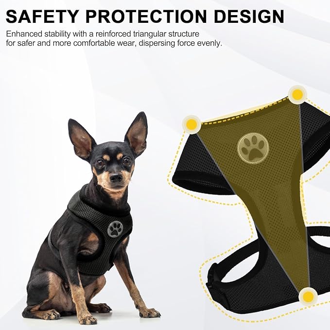 BINGPET Small Dog Harness - Breathable Mesh Puppy Cat Harnesses - No Pull Adjustable Dog Harness Dog Vest Harness for Small and Medium Dogs-PawvioPets