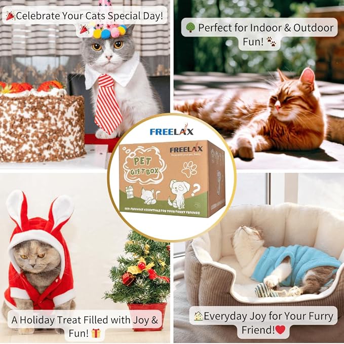 Eco-Friendly Cat Gift Box β 7-Piece Set with Organic Catnip Toys, Feather Wand, Blanket & Pop-Up Cat Cave for Indoor Cats and Kittens-PawvioPets