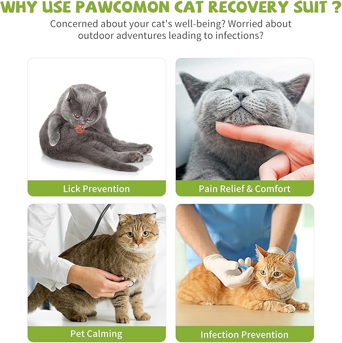 2 Packs Cat Surgery Recovery Suit Surgical Clothes Abdominal Wounds Anti-Licking Cat Bodysuit Onesie Substitute E-Collar& Cone-PawvioPets