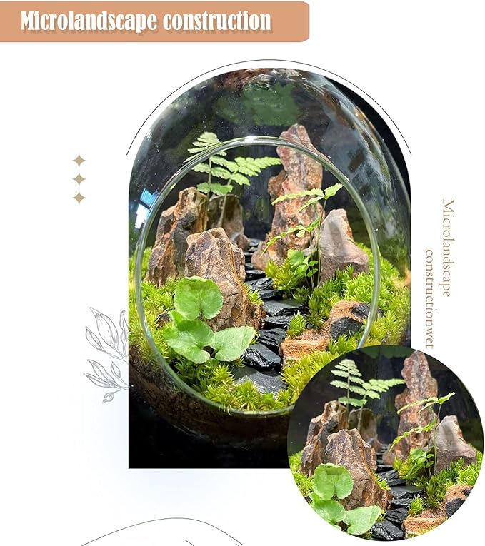 Dragon Rocks Aquariums Stones Natural Rocks for Aquascaping, Aquariums, Terrariums, Vivariums Decorative Stone,Reptile Enclosures,Paludariums,and Gardens-10LB(2 to 7 inch)-PawvioPets