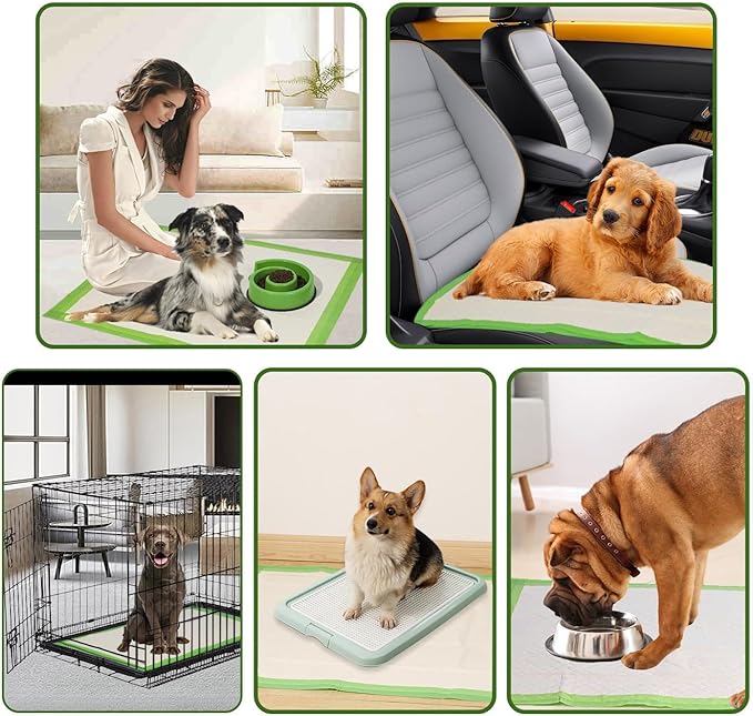 Gardner Pet Dog Pee Pads Extra Large 29"x37", XL Thicker ECO Green Disposable XLarge Puppy Training Pads Super Absorbent Full Edge-Wrapping Pad for Dogs, Puppies, Doggie, Cats, Rabbits-(30 Count)-PawvioPets